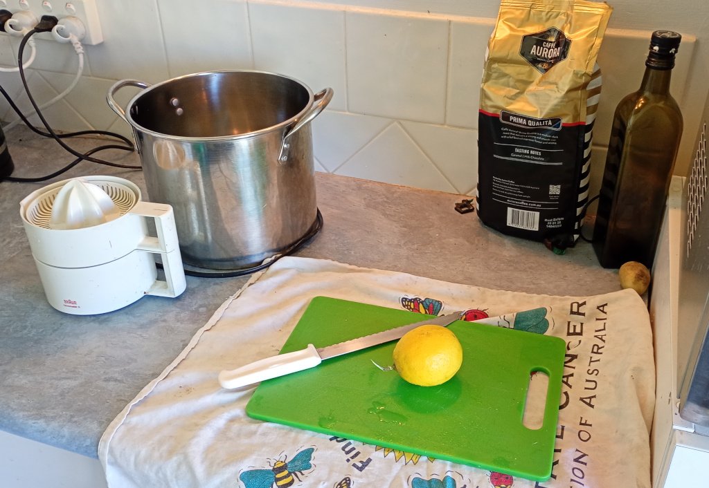 The picture shows a kitchen bench with a lemon sitting on a green cutting board next to a knife. Nearby there is an electric juicer and a big steel pot.