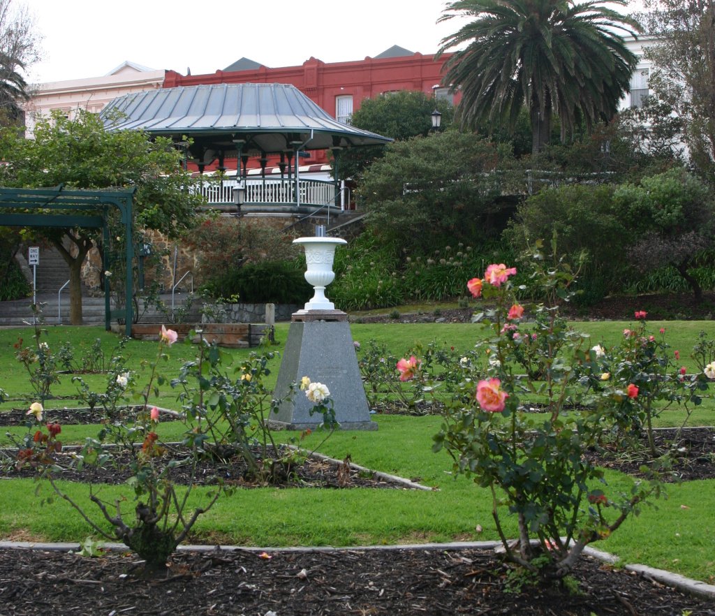 A picture of the remembrance rose garden in Albany.