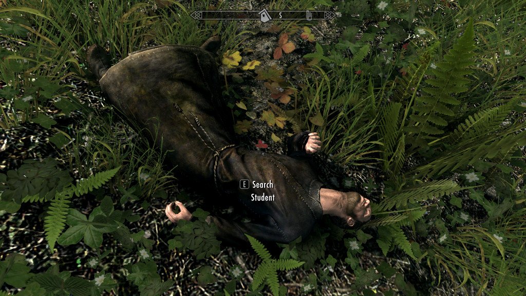 Picture of a dead Skyrim NPC lying in the grass. He is wearing a black robe. The interactive text says [E] Search Student