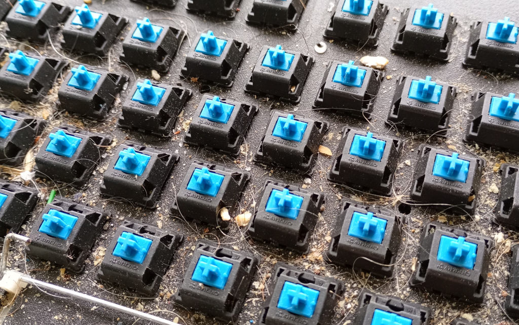 Closeup of the inside of a mechanical keyboard. The switches are blue but the most striking feature of the image is the terrifying amount of hair, food scraps, dust and other unidentified biological fragments.